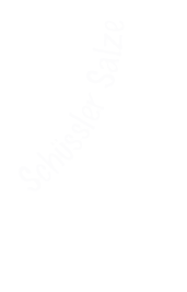 03 schuessler-salze Farbkreis v5 satzgeschrieben